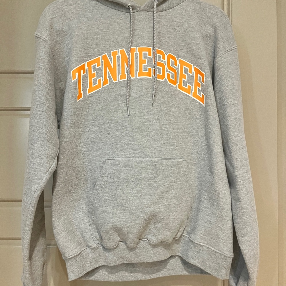 Champion Gray Hoodie